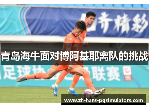 青岛海牛面对博阿基耶离队的挑战 青岛海牛面对博阿基耶离队的挑战